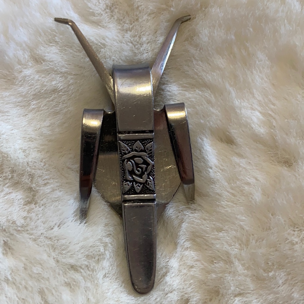 Bug Insect Brooch